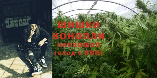 амф Белокуриха