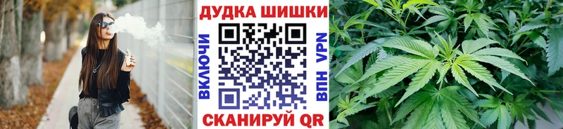 Конопля гибрид  где найти   Нарткала 